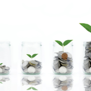 Saving money concept with coins in bottle stack and plant growing isolated on white background